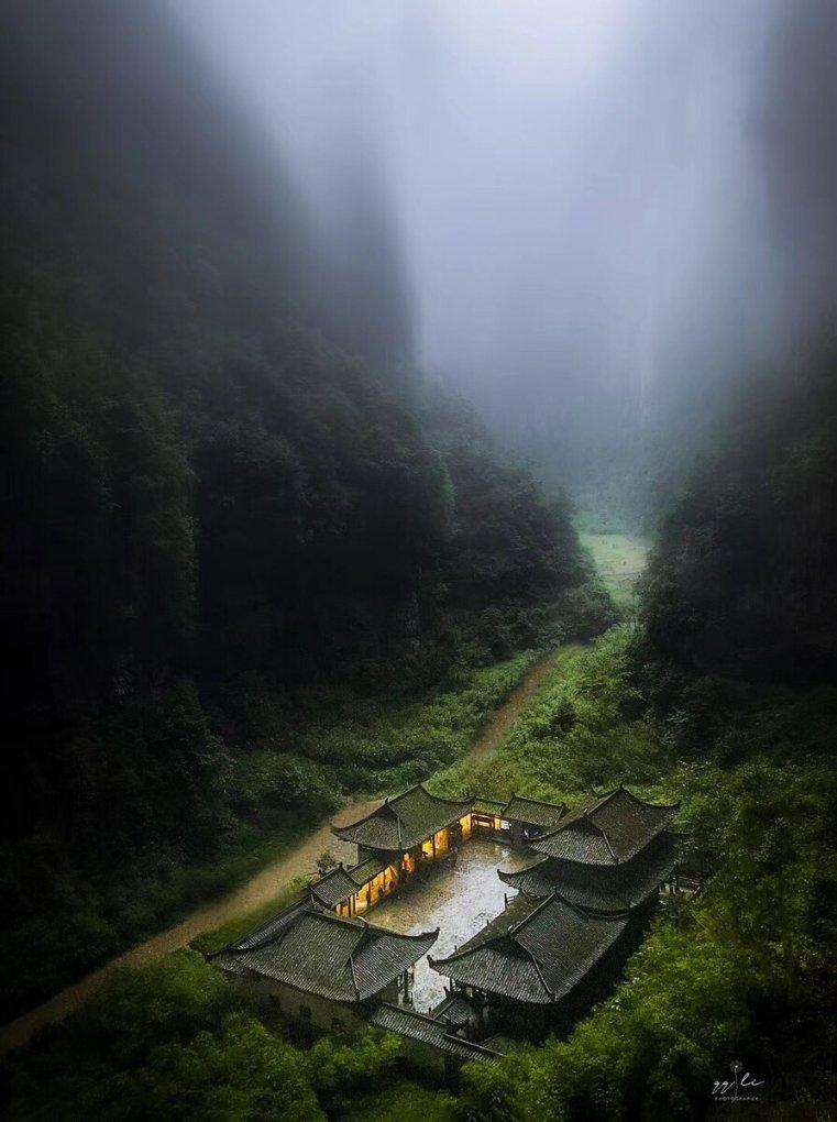 春雨直播app